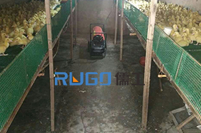 冬季，家畜養(yǎng)殖取暖使用儒工燃油暖風(fēng)機(jī)